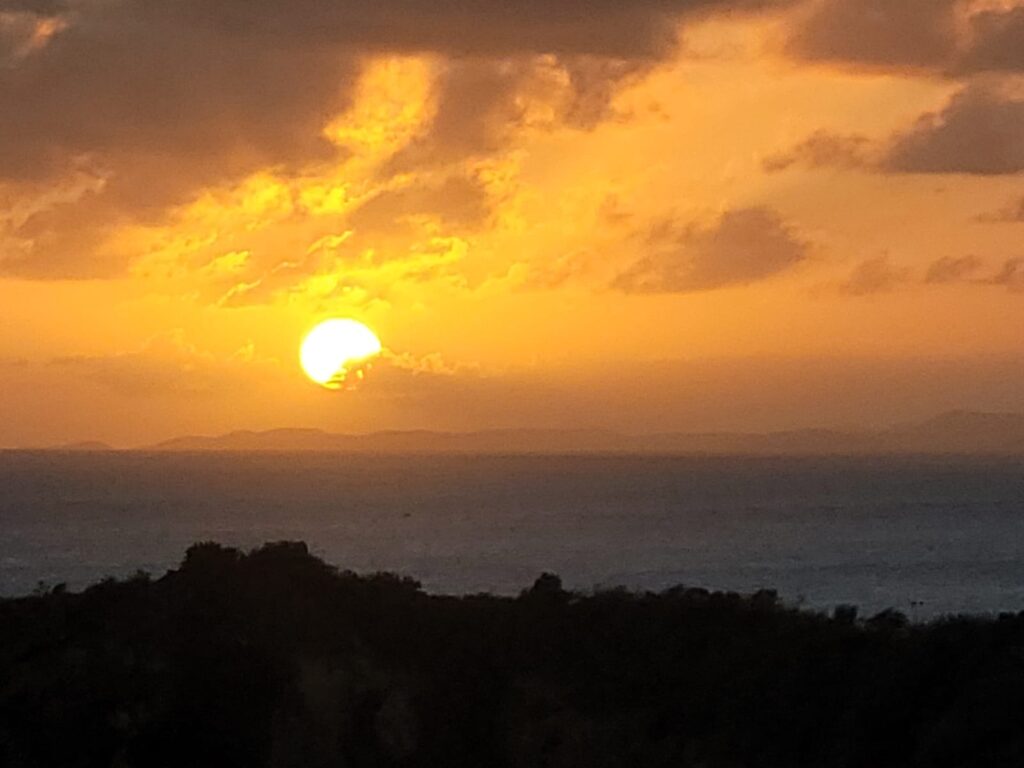 PHOTO-2025-03-01-18-57-26 (1)