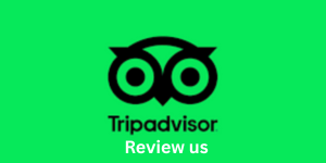 Xplore VI reviews on tripadvisor