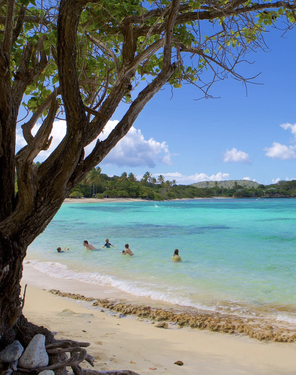 Sapphire-Beach-St-thomas-USVI